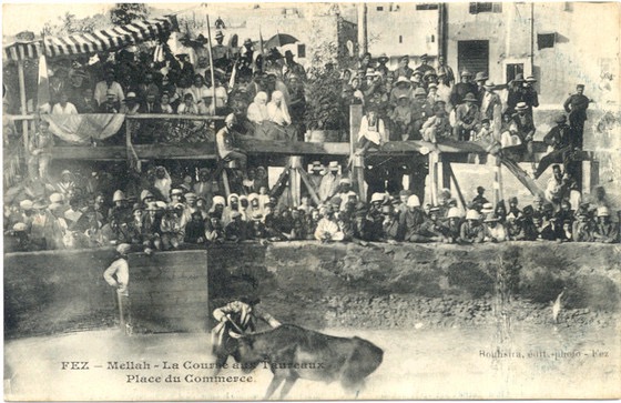 Course de taureaux à Fès 1910.jpg